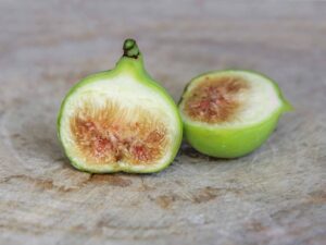 Open Conadria Fig
