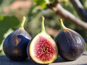 Black Madeira Fig