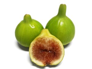 Col de Dame Blanc Fig Cutting