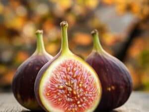 Del Sen Jaume Gran Fig Cutting