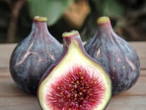Figo Preto Fig Cutting