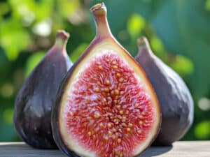 Ronde de Bordeaux Fig Cutting