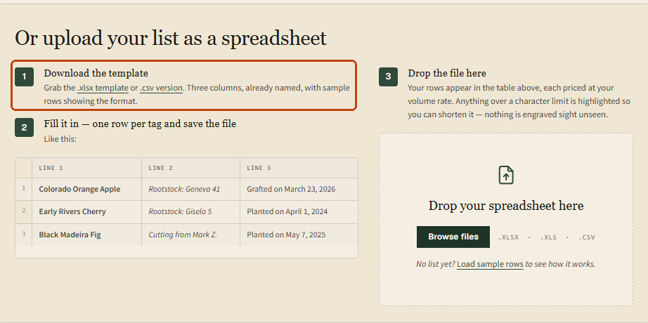 The spreadsheet panel with the template download step marked